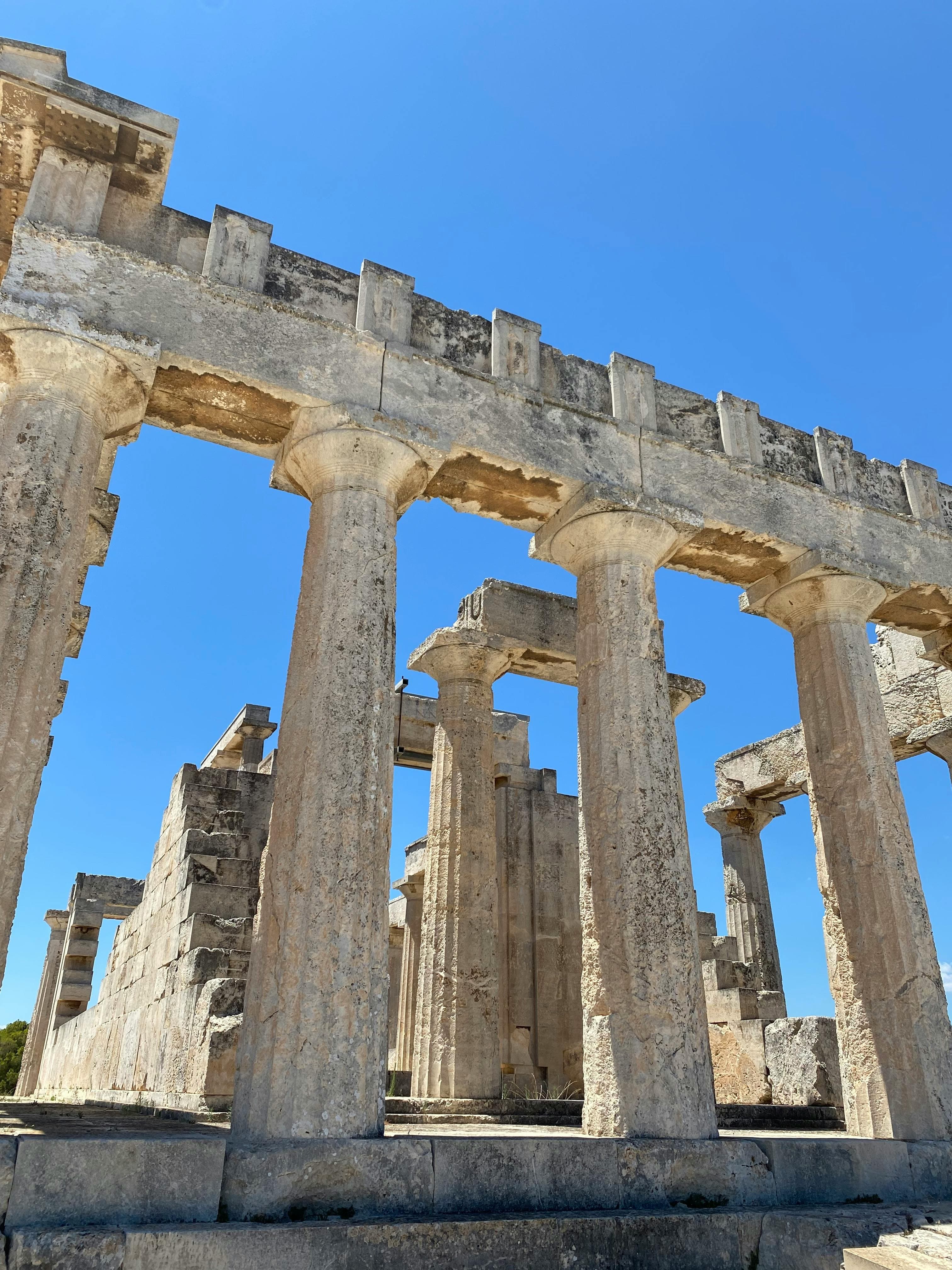 Pistachio groves in Aegina