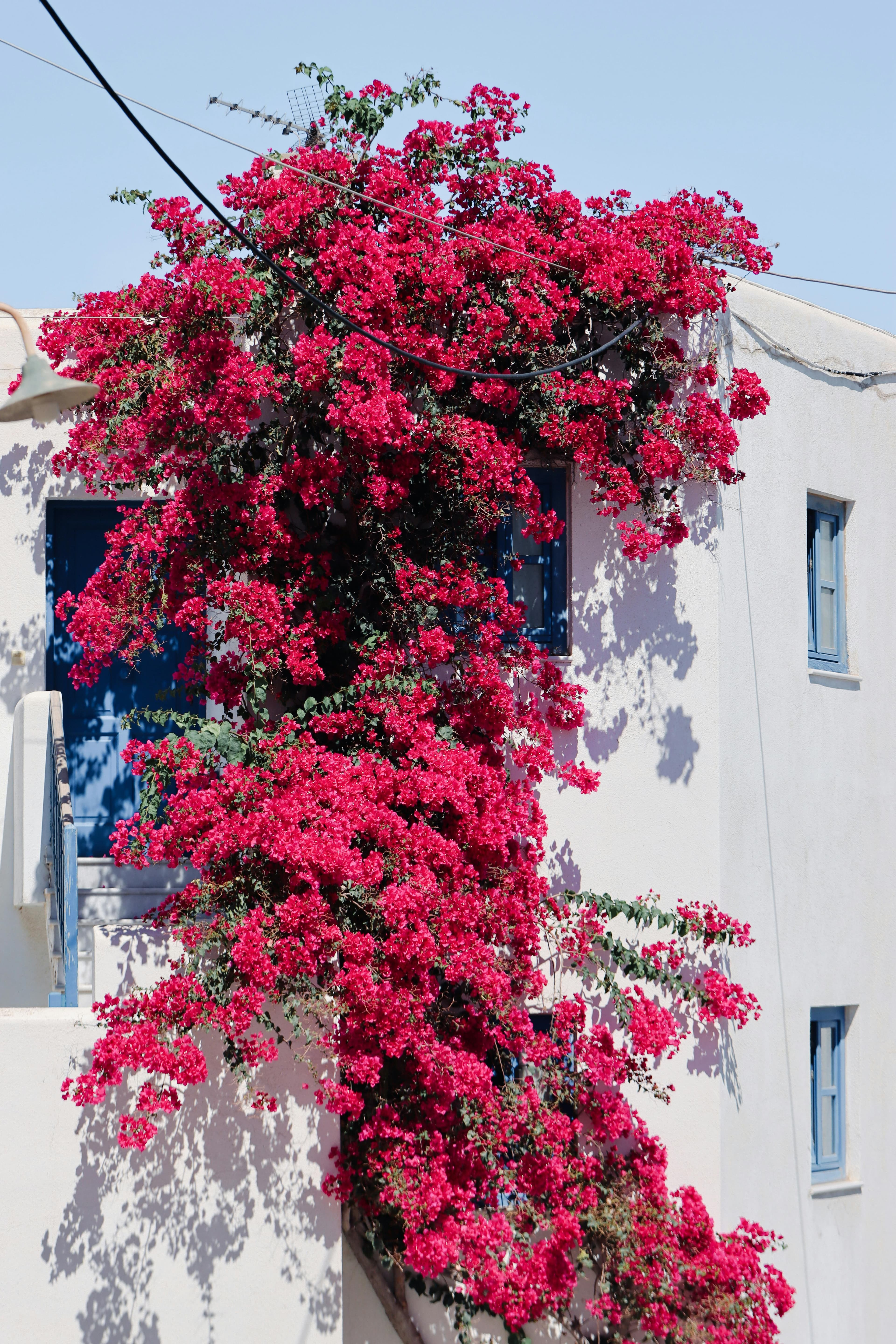 Naxos mountain village